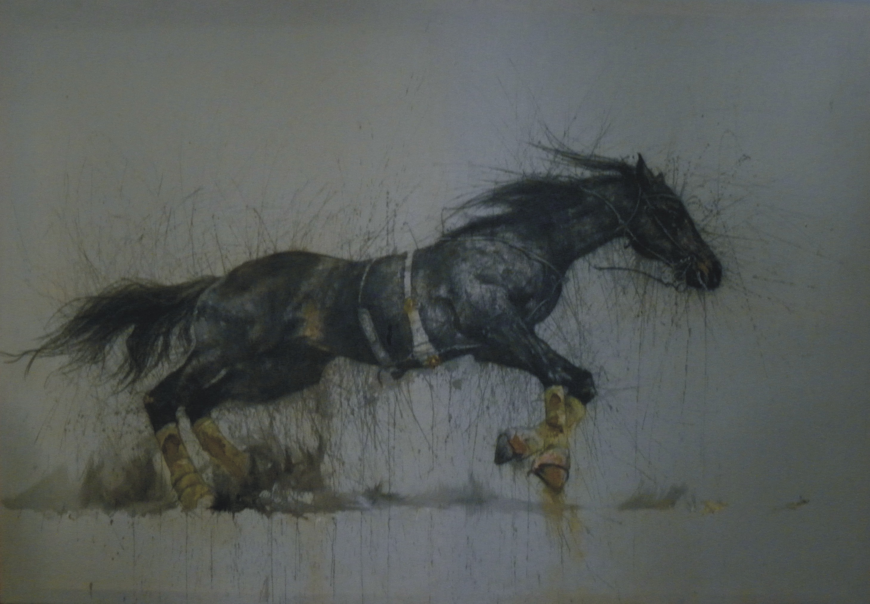 Songs We Sing (1/11/15)