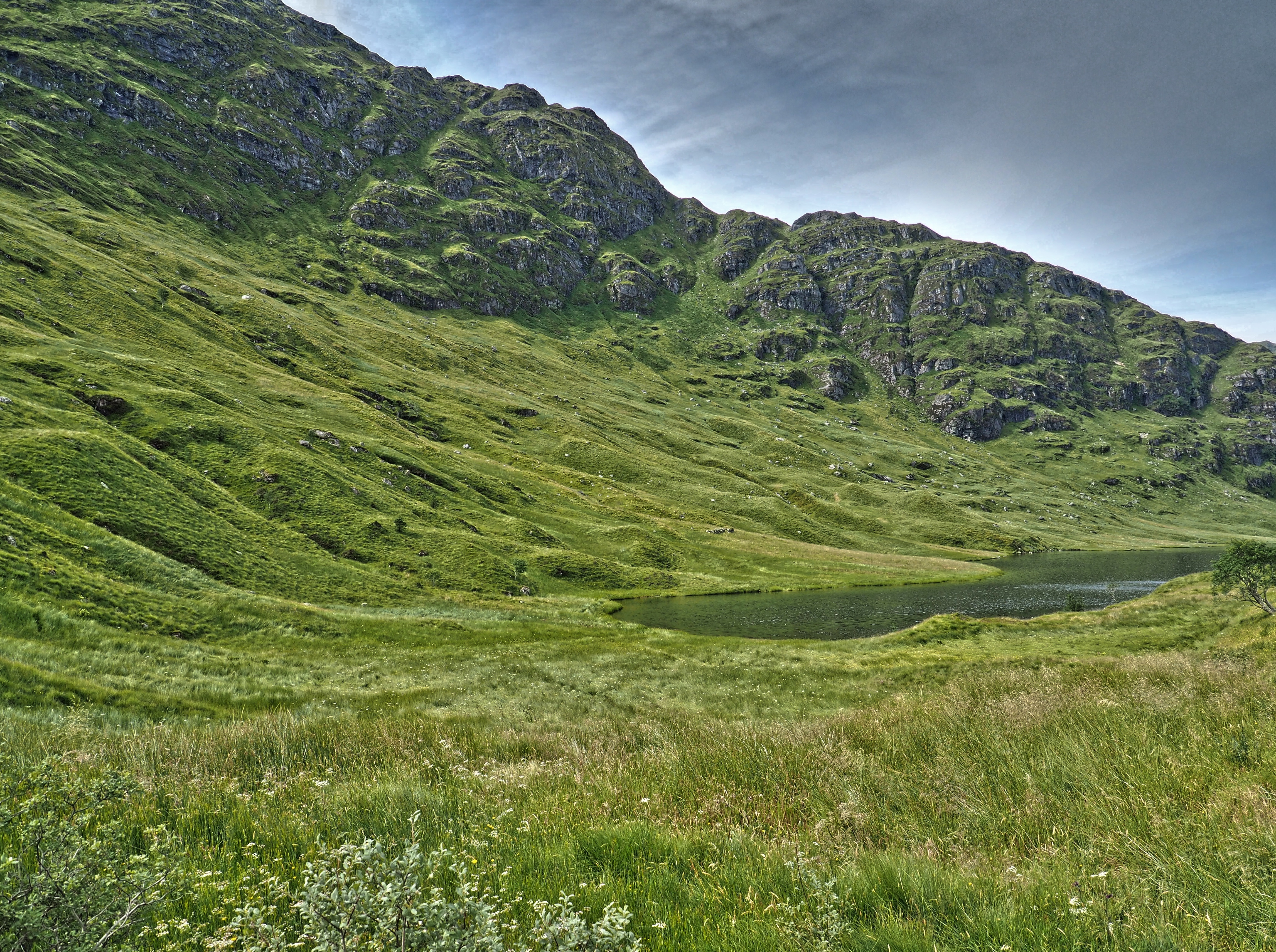 Songs We Sing (8/30/15)