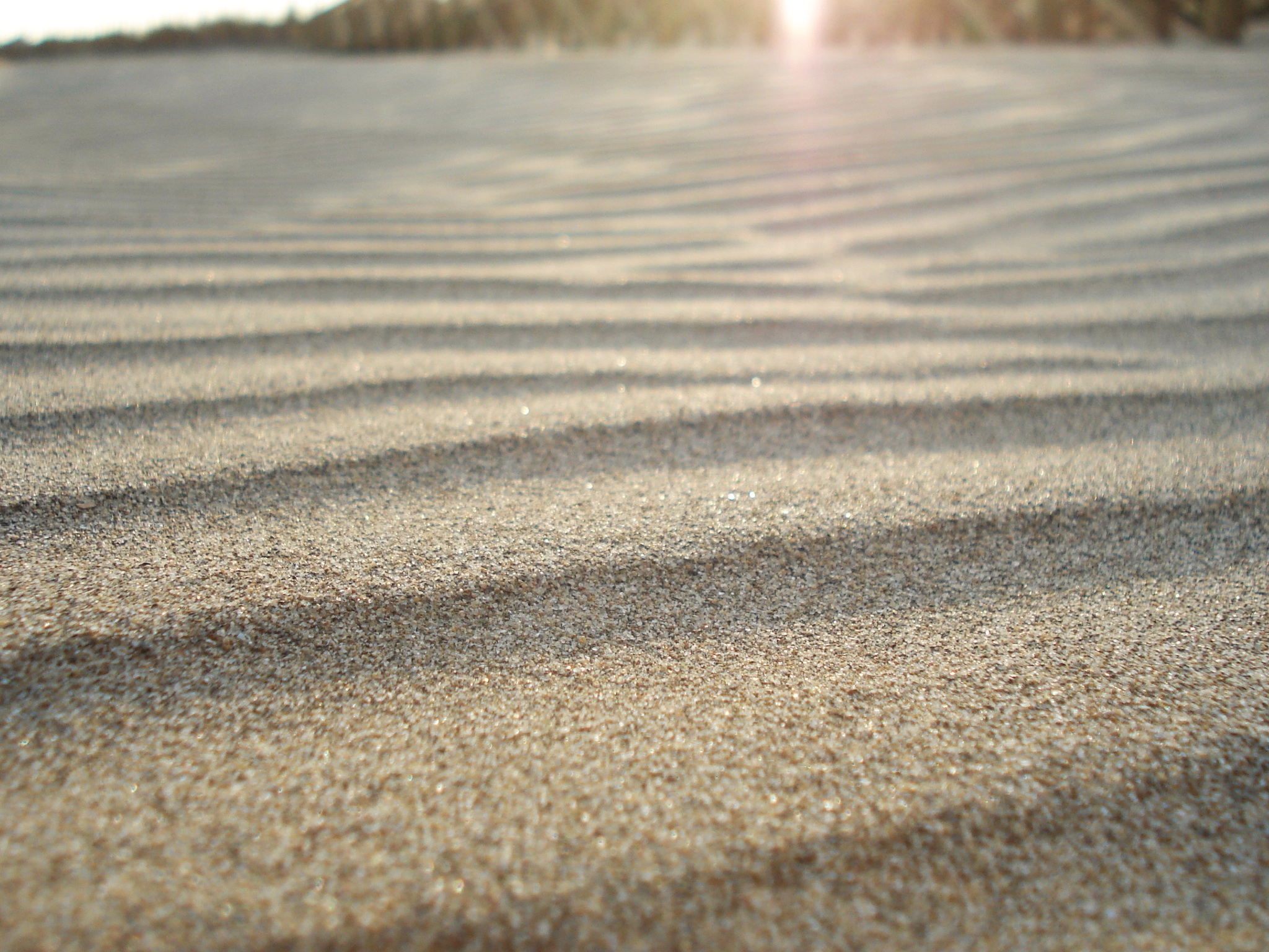 Songs We Sing (6/19/16)