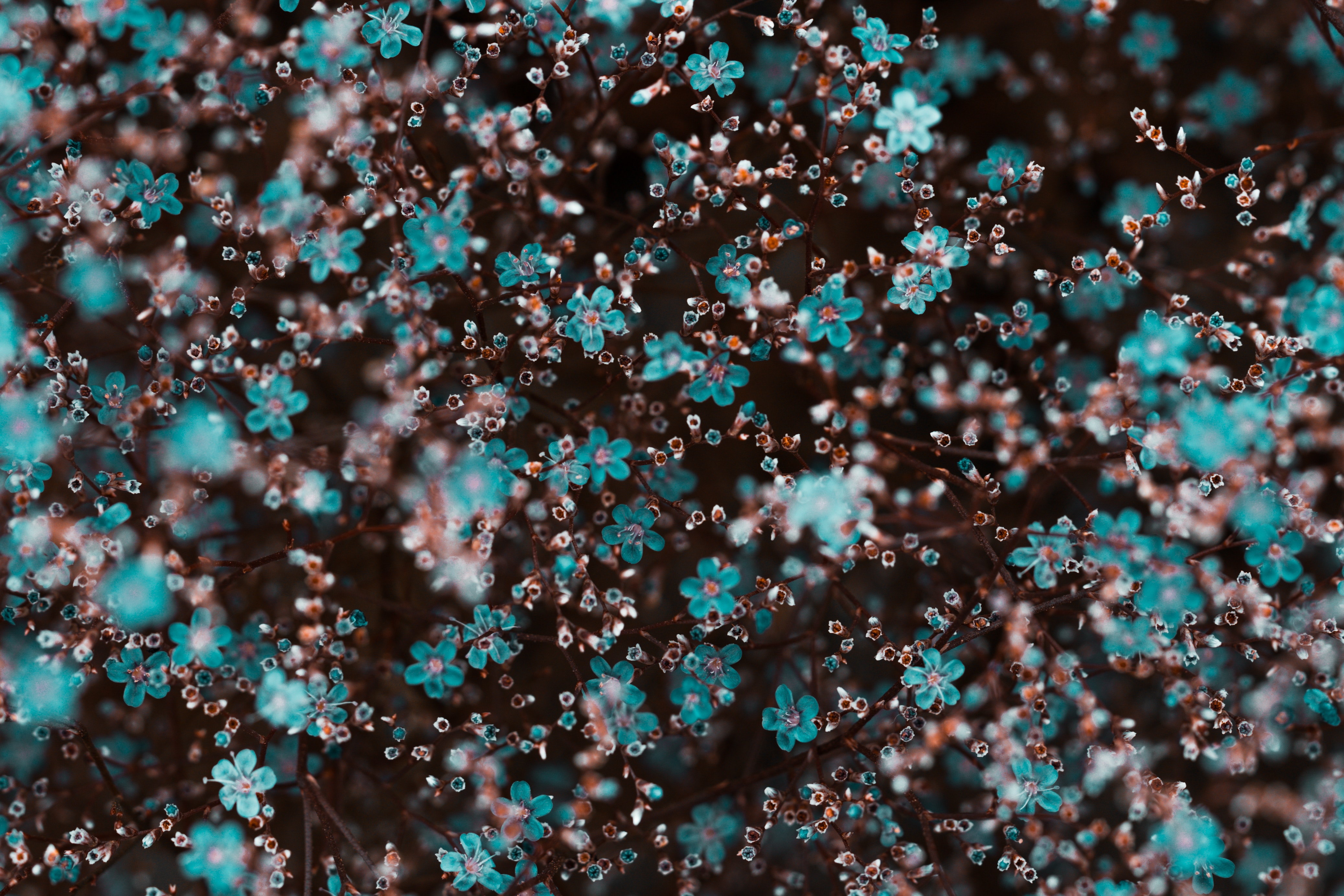 Songs We Sing (8/26/18)