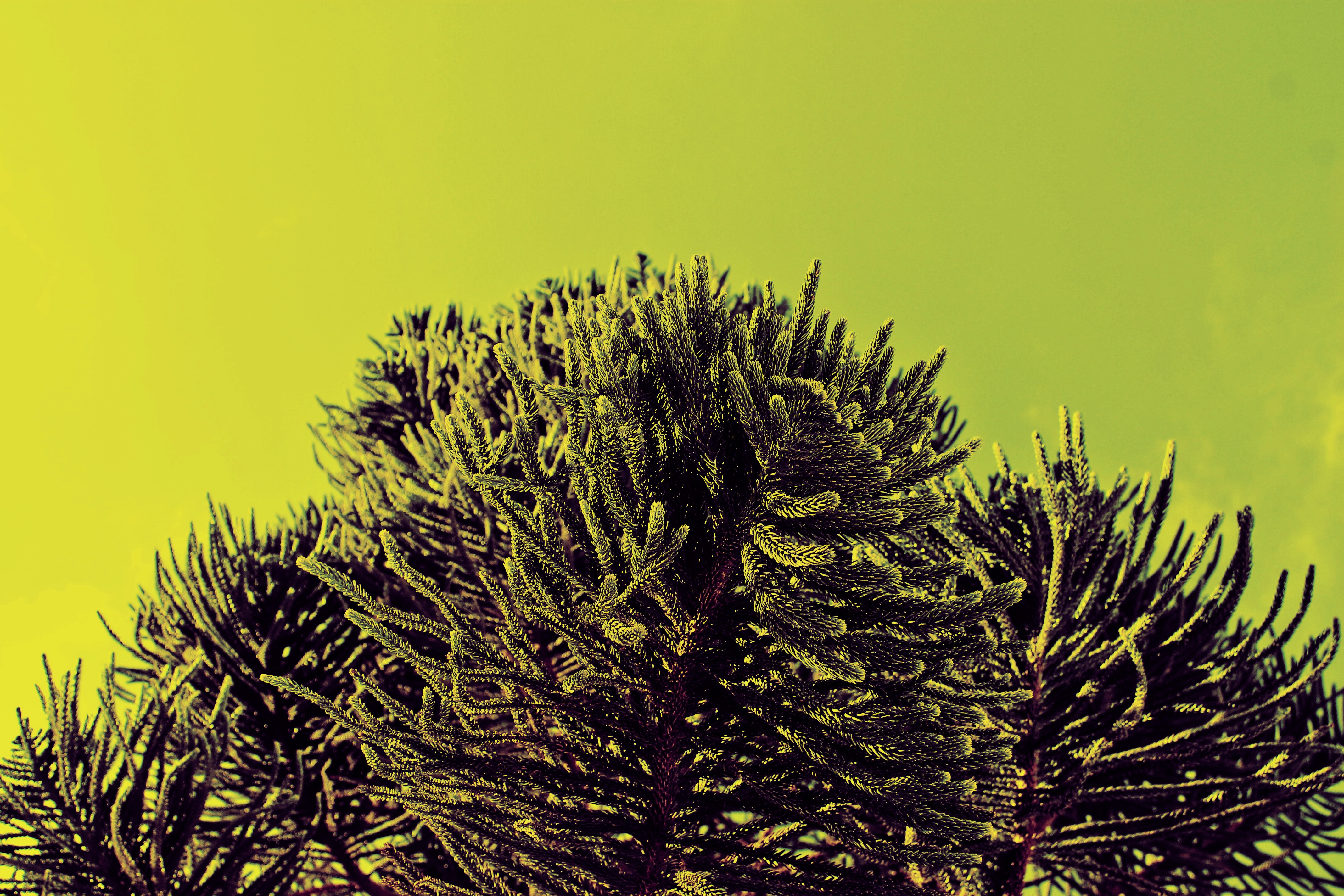 Songs We Sing (9/23/18)